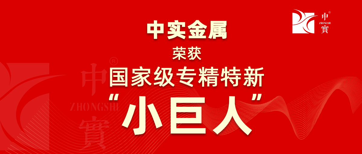 【喜讯】中实金属获评为广东省第六批专精特新“小巨人”企业